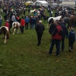 Horse Fair at Ballinasloe  in 2015 – Garristown would have looked something like this