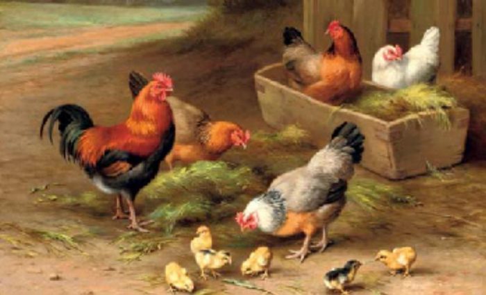 "Farmard Chickens" by Edgar Hunt 1876-1955 dated to the 1920s