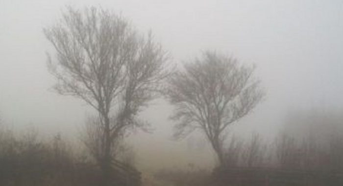 Fog on the Moor